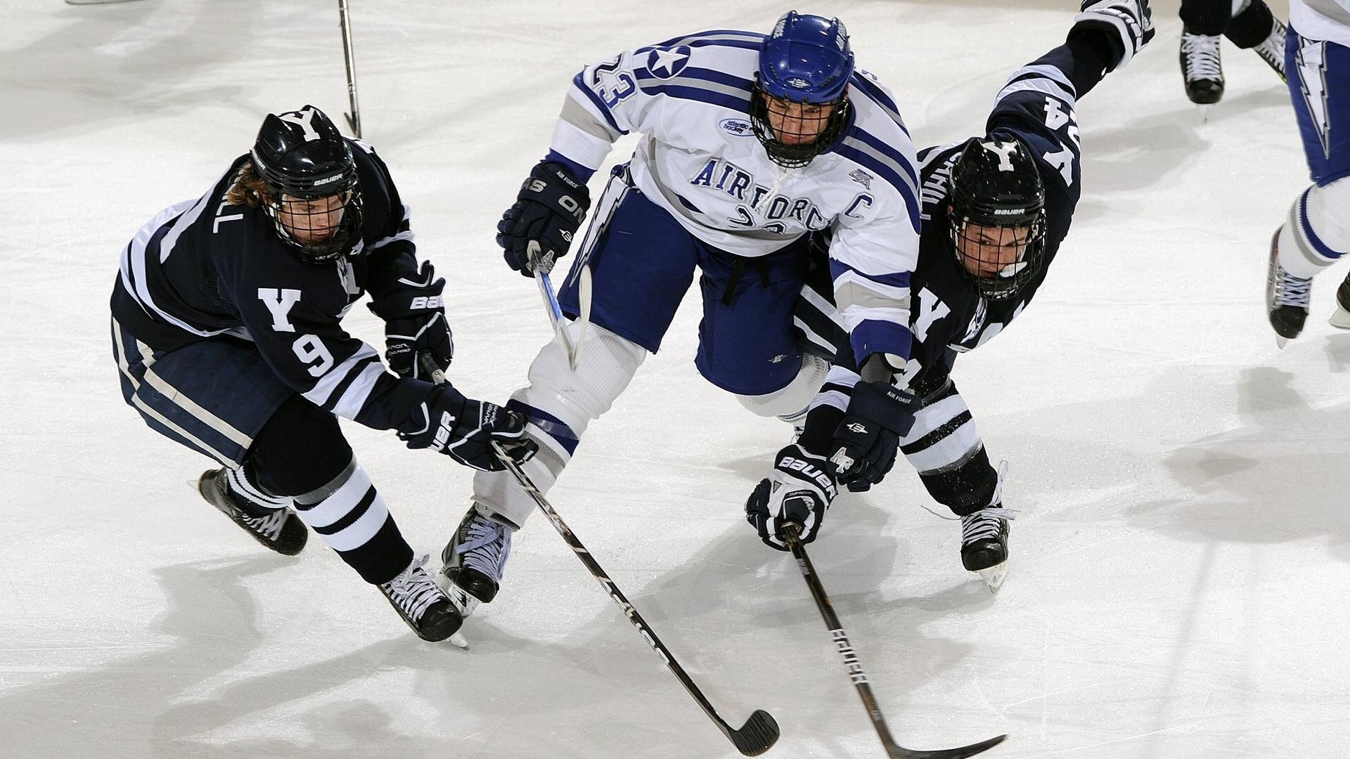 坚韧归来,明星运动员伤病康复之路点燃赛场新希望